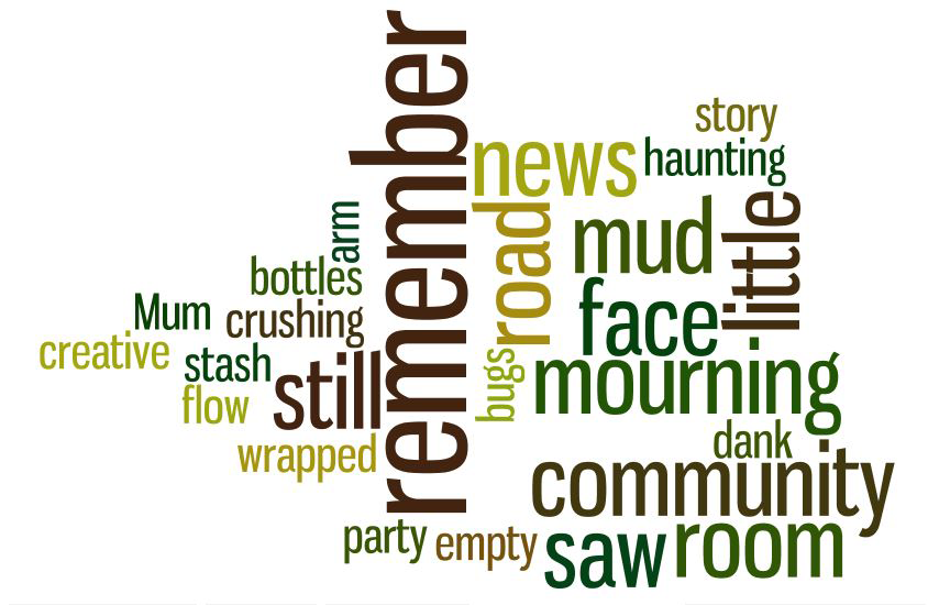 The word cloud for this story.