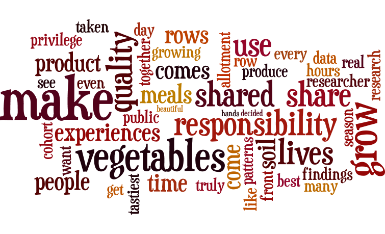 The word cloud for this story.