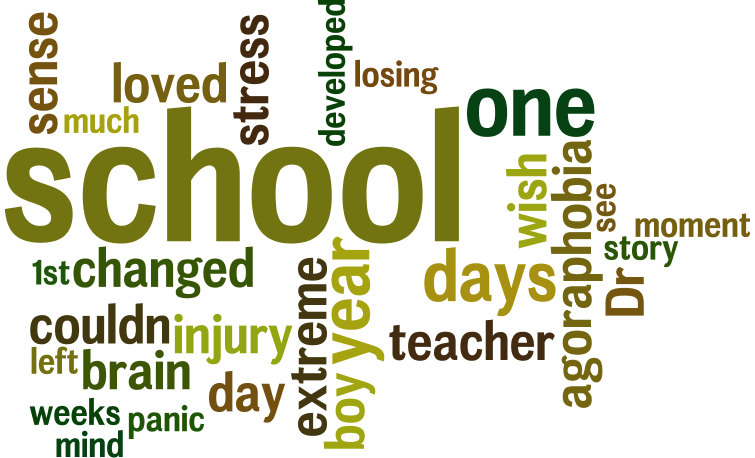 The word cloud for this story.
