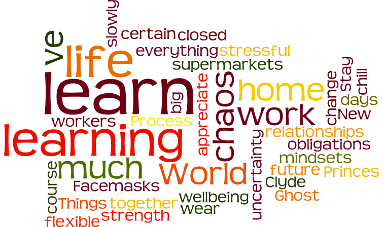 The word cloud for this story.