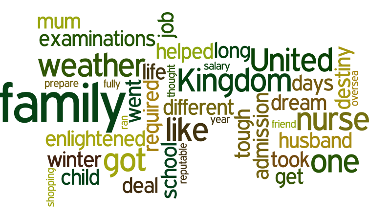 The word cloud for this story.