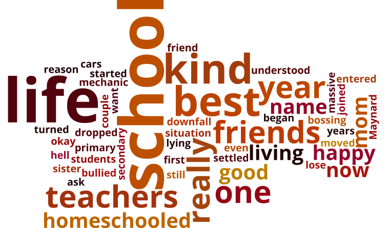 The word cloud for this story.