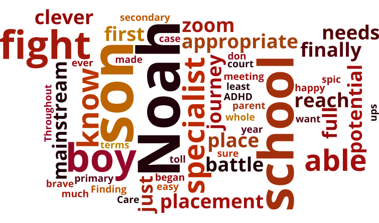 The word cloud for this story.