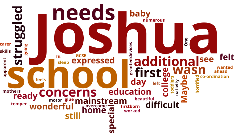 The word cloud for this story.