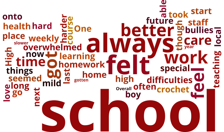 The word cloud for this story.